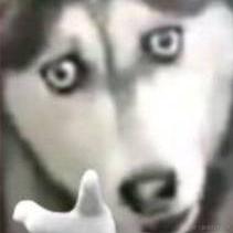 Enter键上的妹妹于2021-08-12 15:27发布的图片