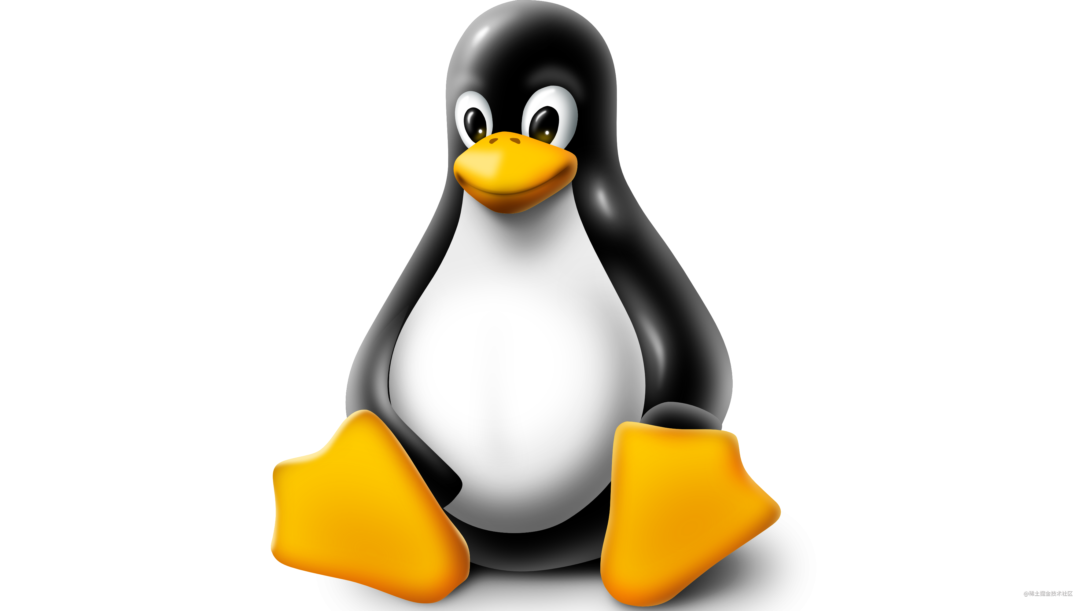 Linux入门