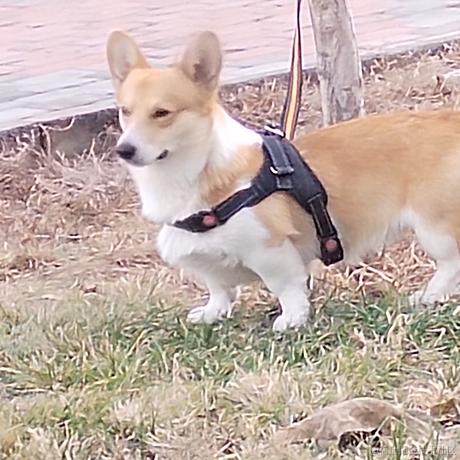 jzsst于2022-11-19 12:11发布的图片