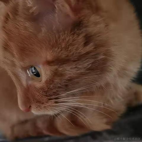 疯狂吃水果的猪儿虫于2022-01-25 00:13发布的图片