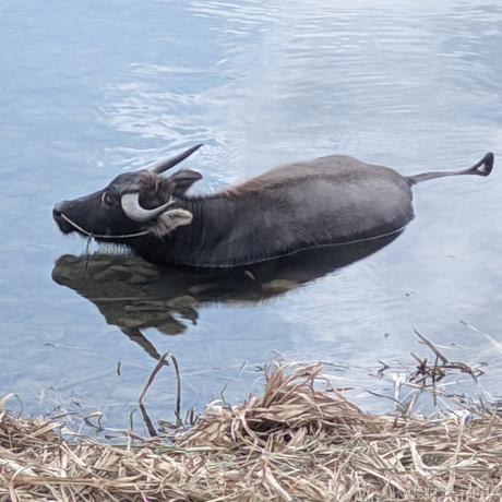 ndksorlcpsjwox于2023-06-30 01:59发布的图片