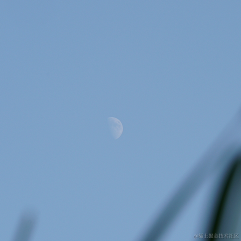 puppyyy于2023-03-16 07:46发布的图片