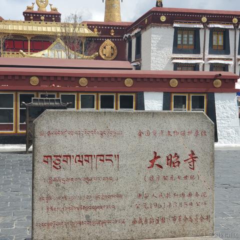 没有哆啦的A梦于2023-03-13 10:06发布的图片