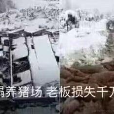 Catherine502于2022-11-17 21:42发布的图片