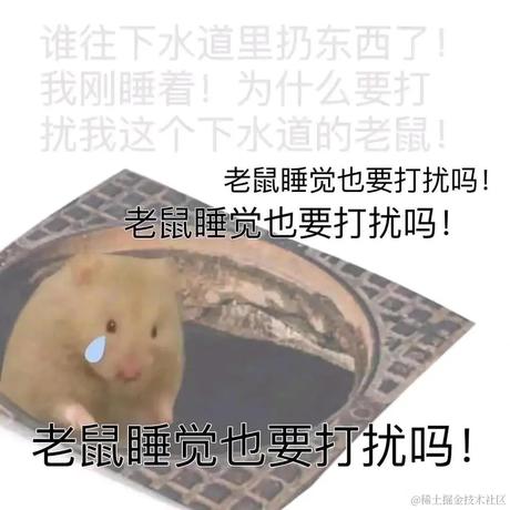 寸光于2022-12-14 13:32发布的图片