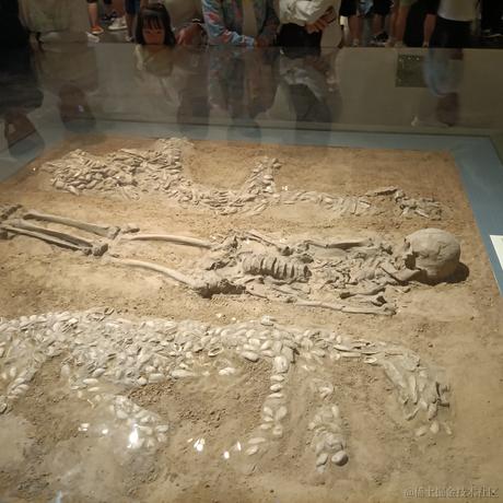 swyQAQ于2023-07-09 10:16发布的图片