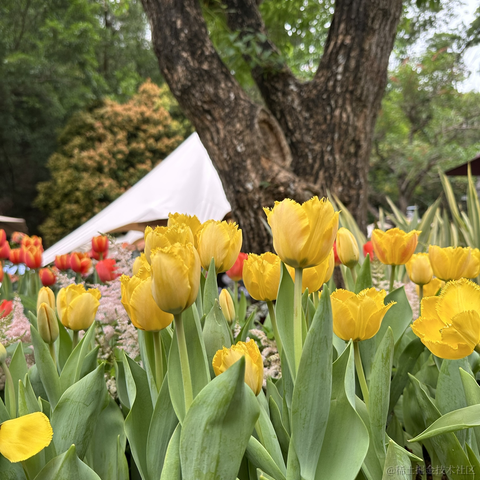 大富大贵AKkk于2023-04-14 22:39发布的图片