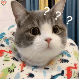 今天吃什么了于2023-06-13 15:12发布的图片