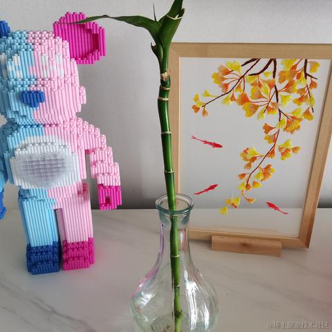 丁一ding于2023-05-27 14:21发布的图片