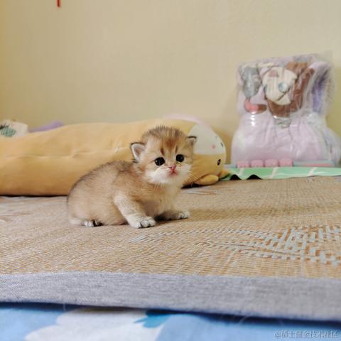 龍佛于2023-06-02 11:23发布的图片