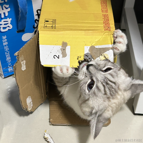 llight于2023-04-23 22:10发布的图片