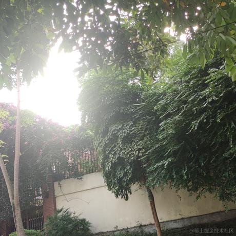 相赫大魔王于2022-11-19 14:41发布的图片