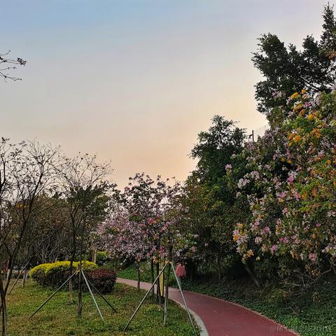 Unicode于2023-03-15 13:52发布的图片