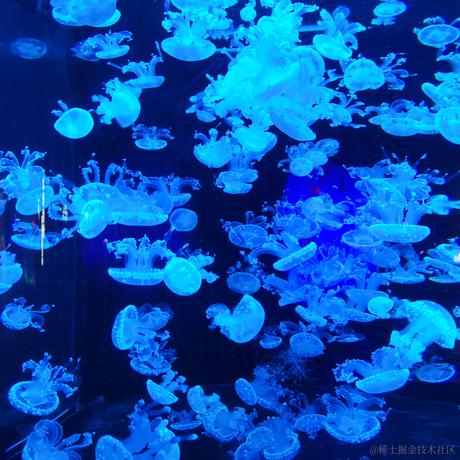 我爱asoul于2023-07-04 23:24发布的图片