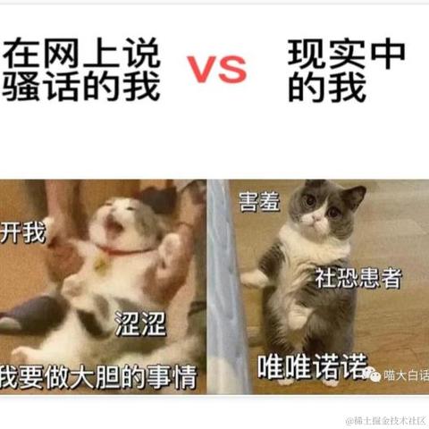 落鱼呀于2022-08-25 18:00发布的图片