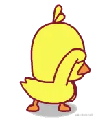 可爱鸭子.gif
