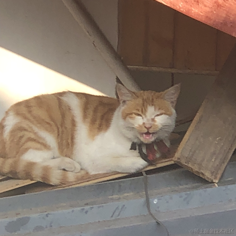 乃琳我的完美老婆于2022-11-29 17:25发布的图片