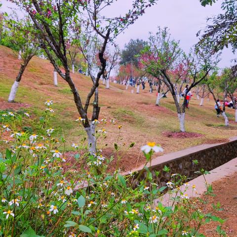 南方者于2023-03-18 11:41发布的图片