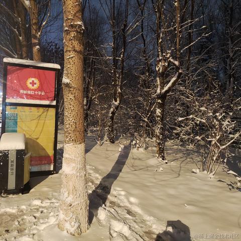 Dianazusa于2022-11-18 07:26发布的图片