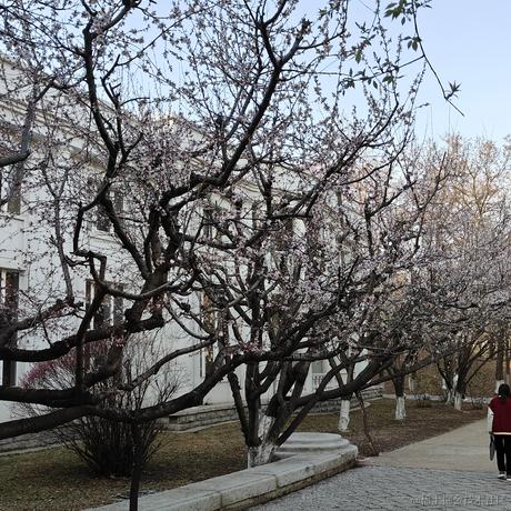 吃个火龙果于2023-04-06 18:40发布的图片