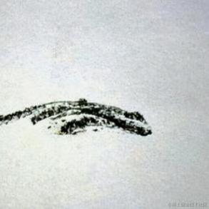 XINO于2022-07-28 18:39发布的图片