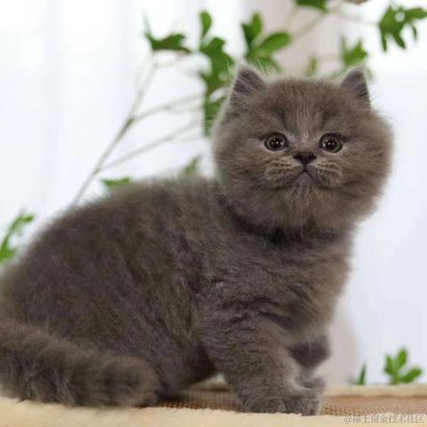 小旭小旭小而含蓄于2021-07-15 07:55发布的图片