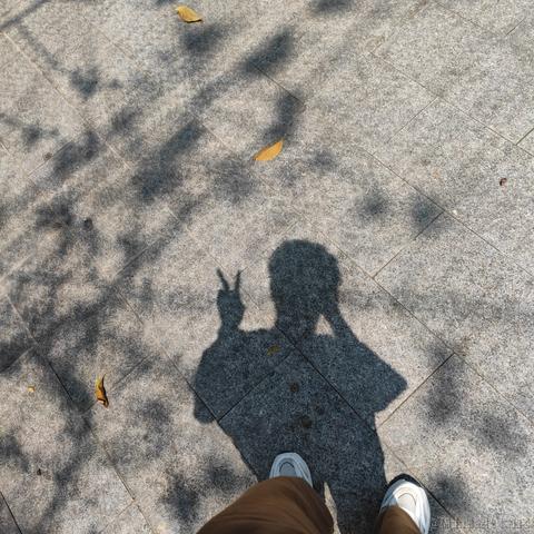 柴拾柒于2023-04-10 16:33发布的图片