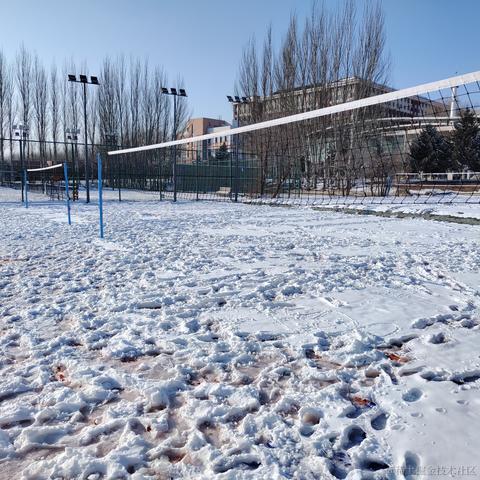 Dianazusa于2022-11-19 08:13发布的图片