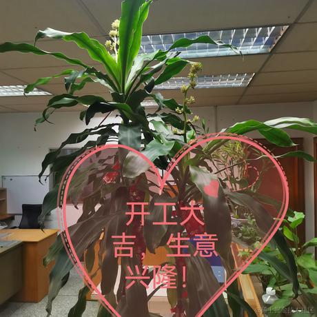 小羊妈于2023-01-30 08:22发布的图片