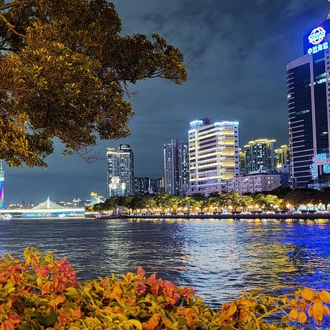 树洞reboot于2020-09-19 23:59发布的图片