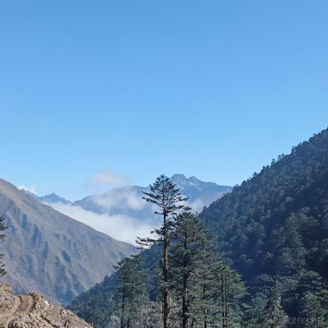 一个魂魂于2022-11-19 20:18发布的图片