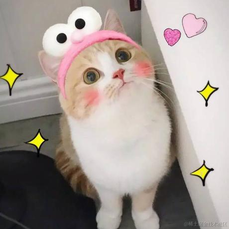 章鱼几个爪于2021-11-18 10:02发布的图片