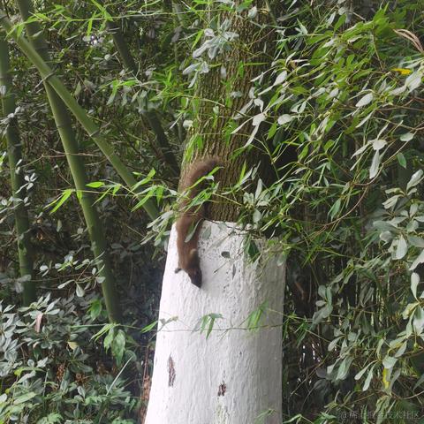 蜜拉贝儿于2023-06-24 07:18发布的图片