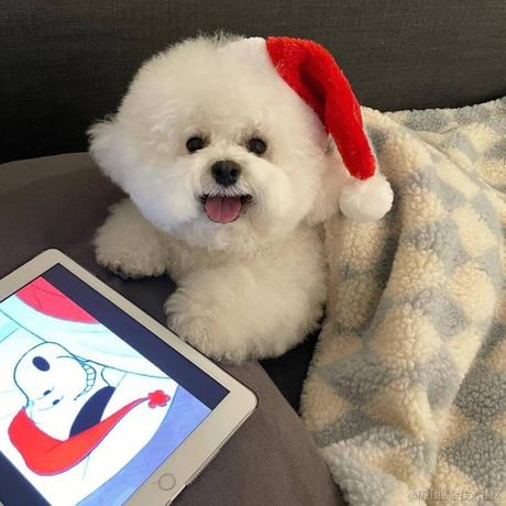 用户您好于2023-04-22 16:03发布的图片