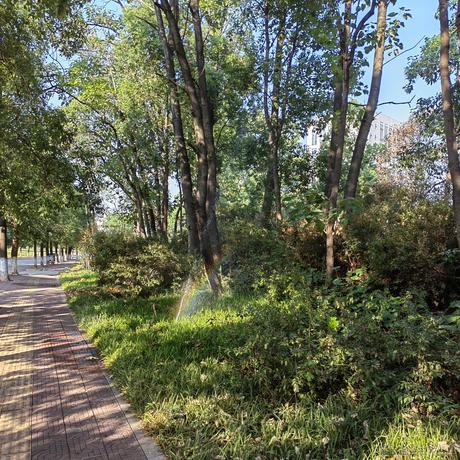 然然姐姐可爱捏于2022-11-12 16:20发布的图片