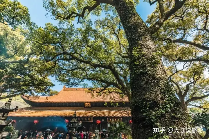普济寺.webp