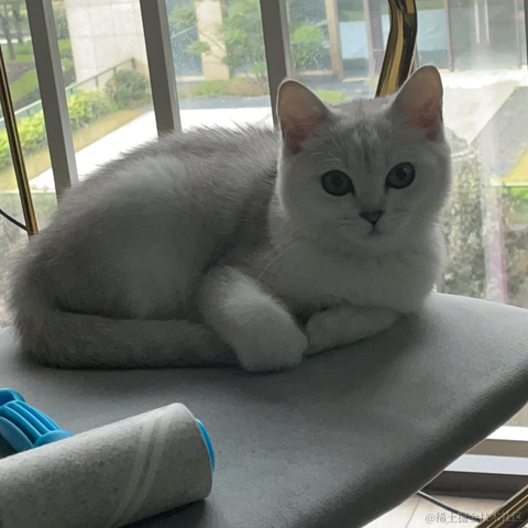 旋律丶于2022-10-20 15:11发布的图片