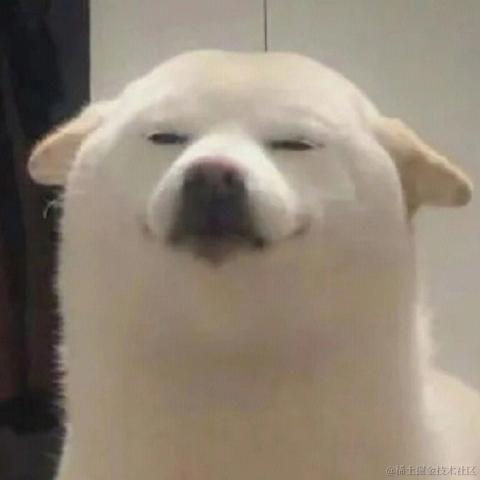 本喵是FW于2023-04-17 08:51发布的图片