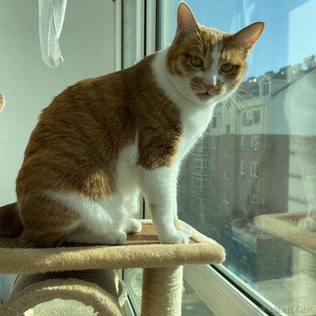 狗子君于2023-01-27 23:22发布的图片