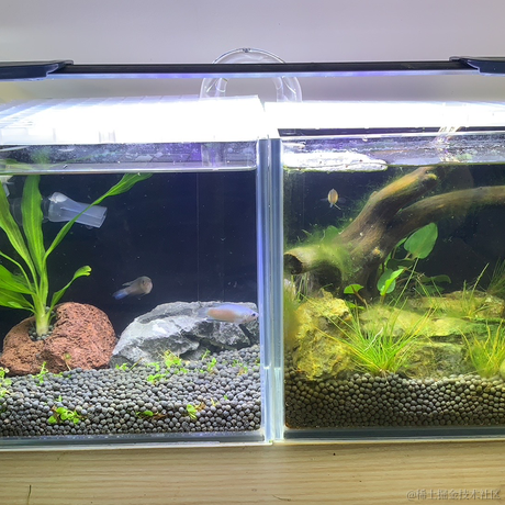 JeffPeng于2023-05-17 11:37发布的图片