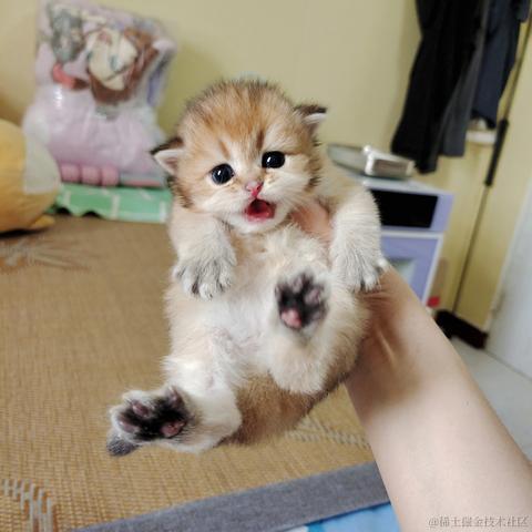 龍佛于2023-06-02 11:23发布的图片