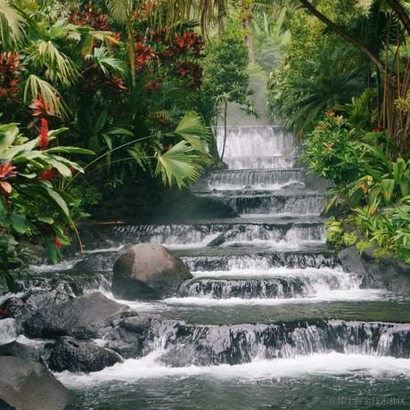 西红柿盖饭于2022-11-24 11:58发布的图片