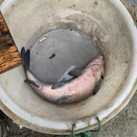 skywallers于2022-12-04 17:47发布的图片