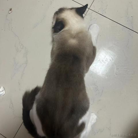 慢慢爬的蜗牛于2023-05-15 19:40发布的图片