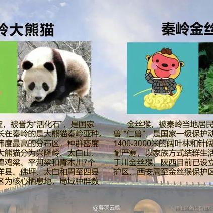 当时只道是寻常_于2022-04-19 11:33发布的图片