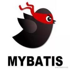 Mybatis