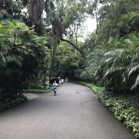 林小帅于2024-06-11 11:37发布的图片