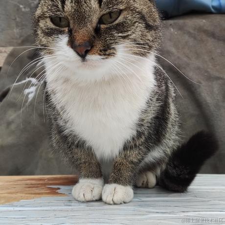 寸光于2022-12-26 06:47发布的图片