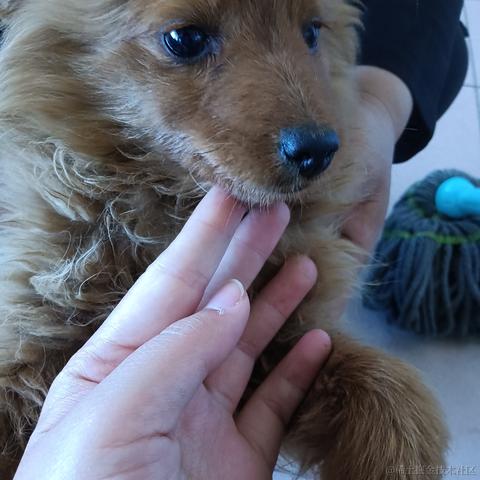 xzl_于2023-04-30 19:33发布的图片