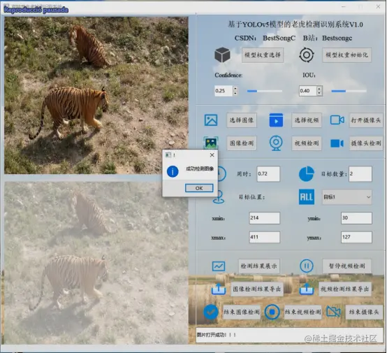高精度老虎检测识别系统2172.png